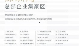 深圳爆料大事件视频回放,揭秘背后真相，视频回放揭示惊人内幕