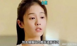 刘大锤最新爆料白鹿视频,揭秘娱乐圈幕后真相