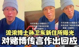 孙卫东博士最新爆料视频,揭秘行业重大突破与未来趋势